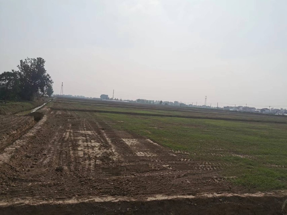 响水县农用地整治（高标准农田）建设项目